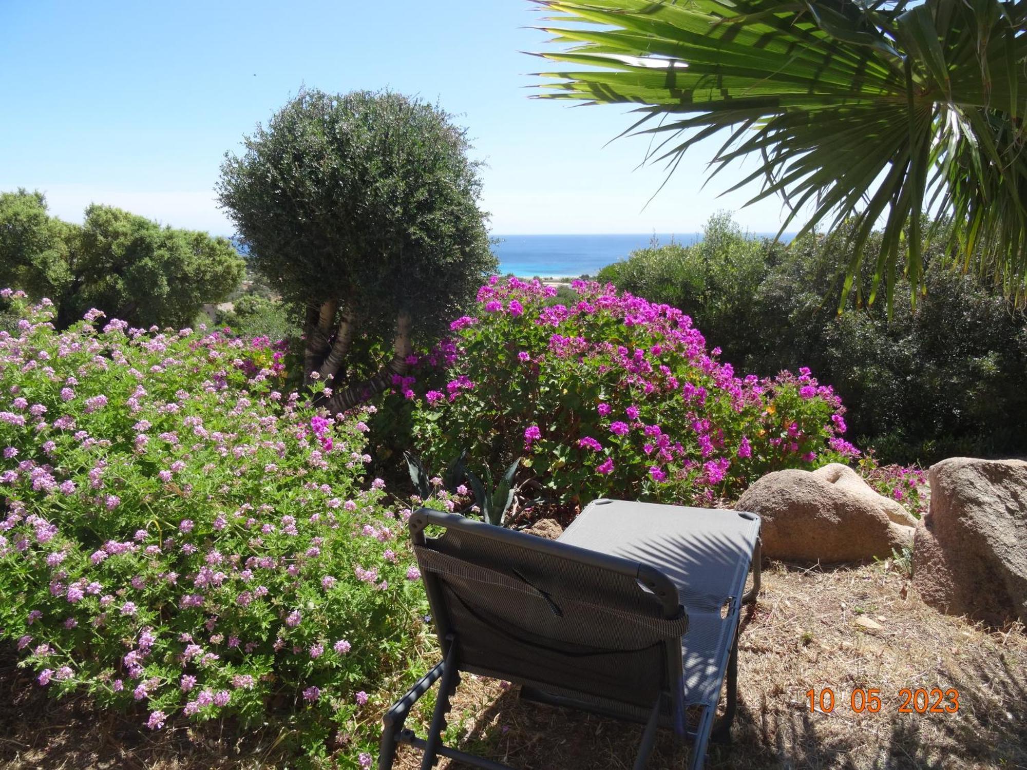 Villa Independante 2/5 Personnes - Palombaggia Vue Mer Magnifique Porto Vecchio Esterno foto